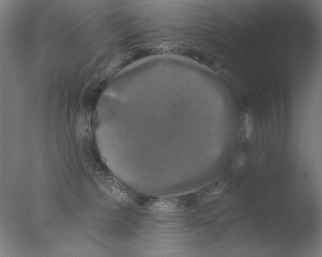 X0000076080236200610202048