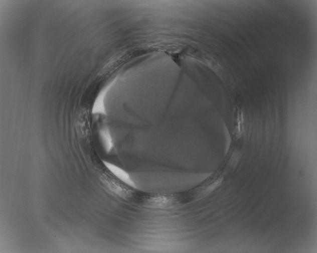 X0000076080237200610202048