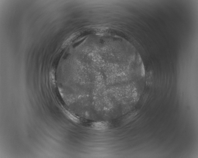 X0000076080238200610202048