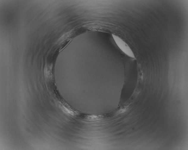 X0000076080239200610202048