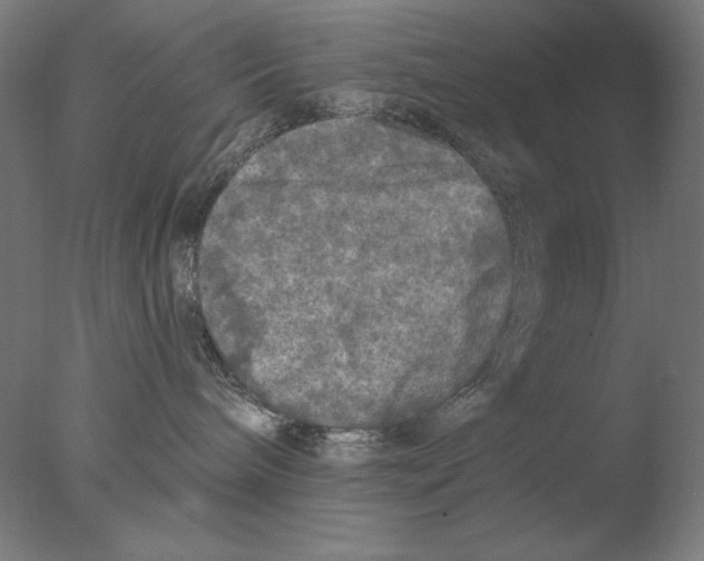 X0000076080240200610202048