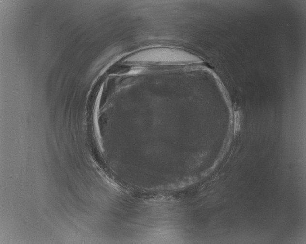 X0000076080243200610202047