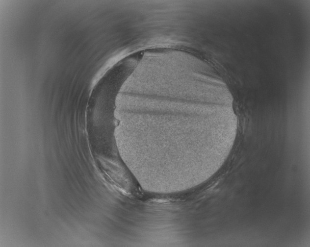 X0000076080244200610202047