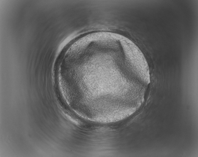 X0000076080246200610202047