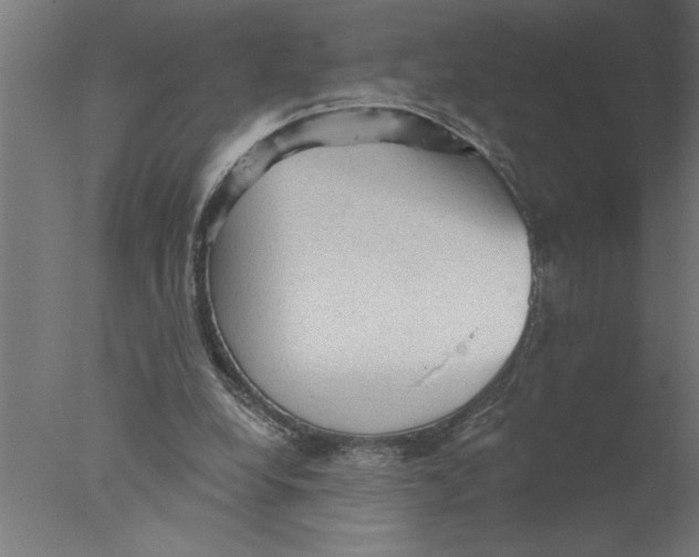 X0000076080248200610202047