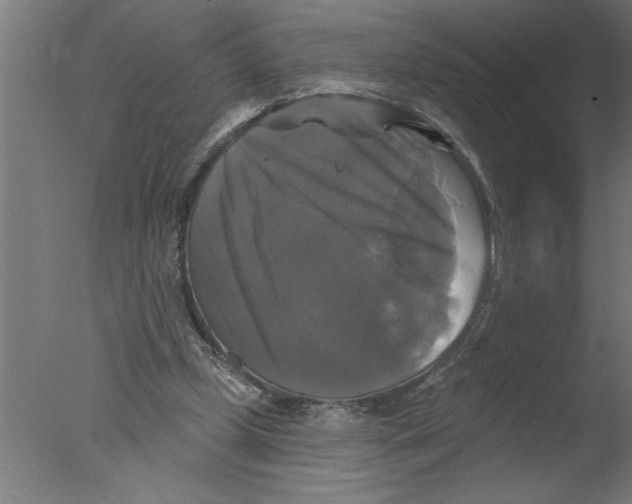 X0000076080249200610202047