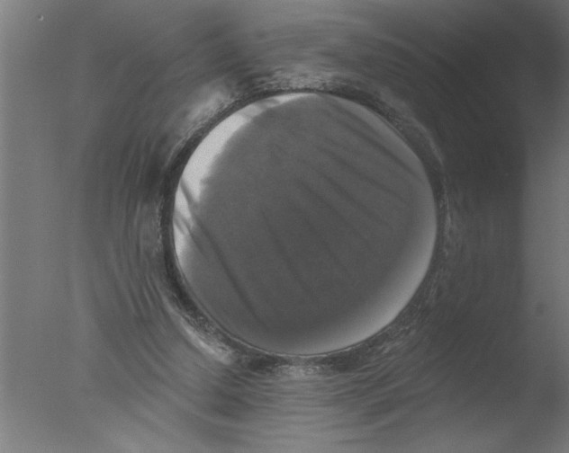 X0000076080250200610202047