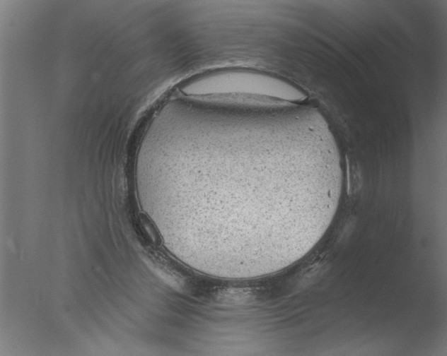 X0000076080252200610202047