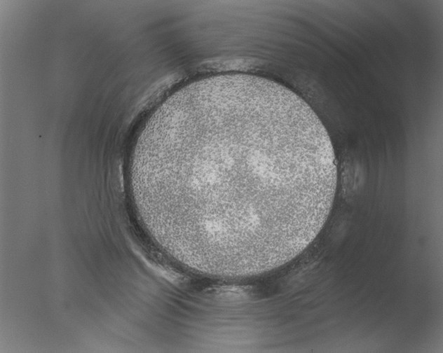 X0000076080254200610202048