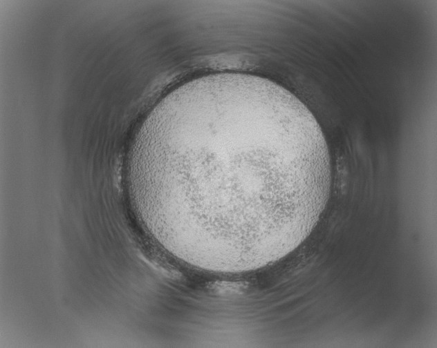 X0000076080255200610202048