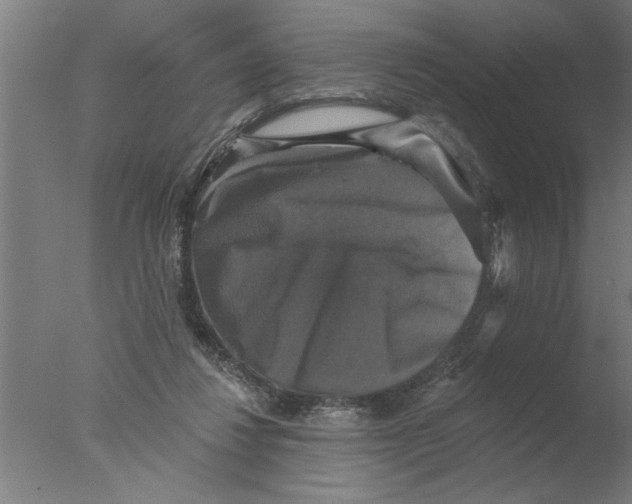 X0000076080260200610202048