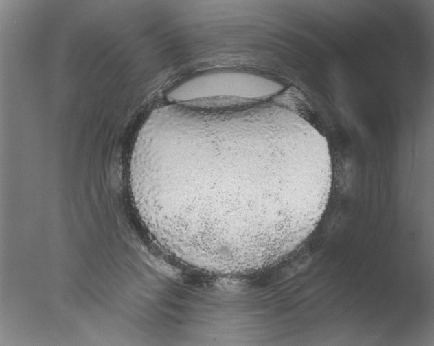 X0000076080261200610202048