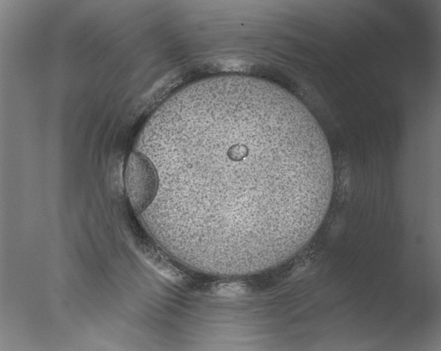 X0000076080262200610202048