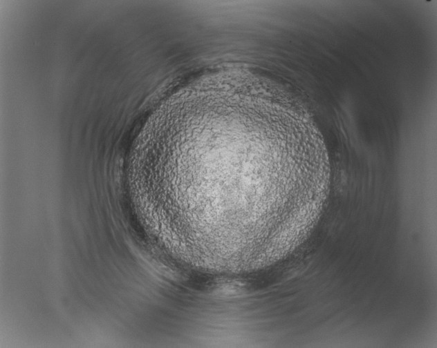 X0000076080263200610202048