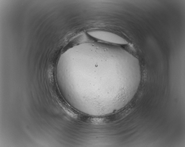 X0000076080265200610202048