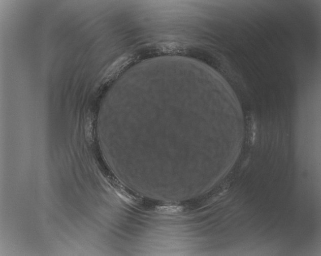 X0000076080266200610202048