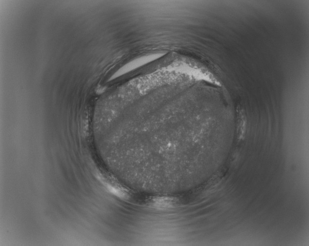 X0000076080268200610202048