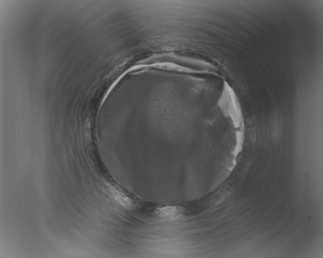 X0000076080269200610202048