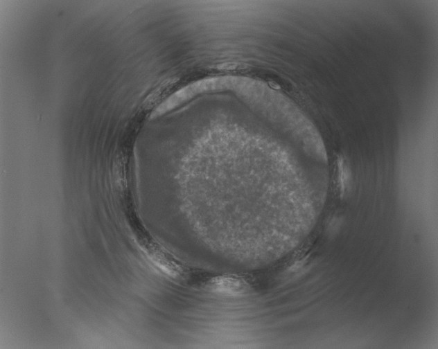 X0000076080272200610202048