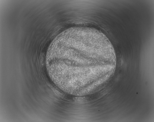 X0000076080273200610202048