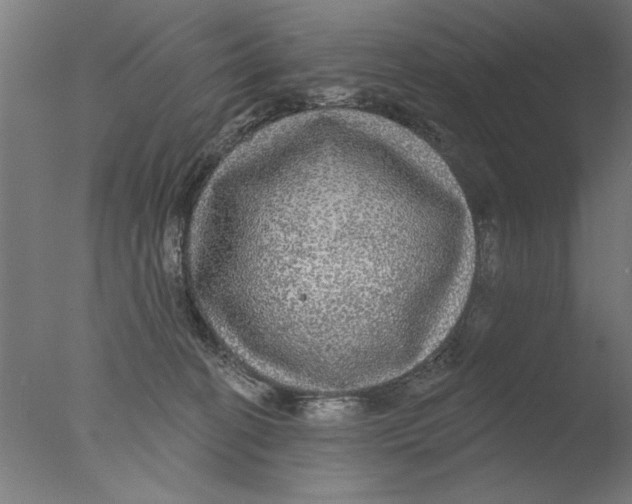 X0000076080274200610202048