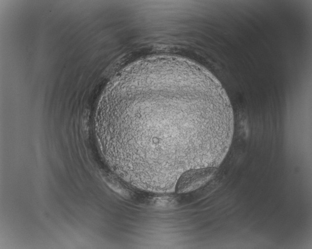 X0000076080275200610202048