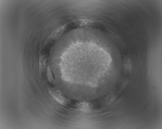 X0000076080276200610202048