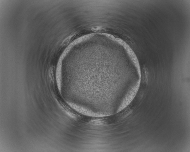 X0000076080280200610202048