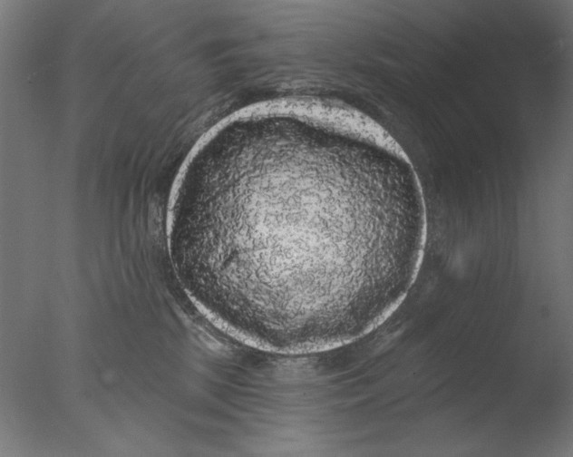 X0000076080281200610202048