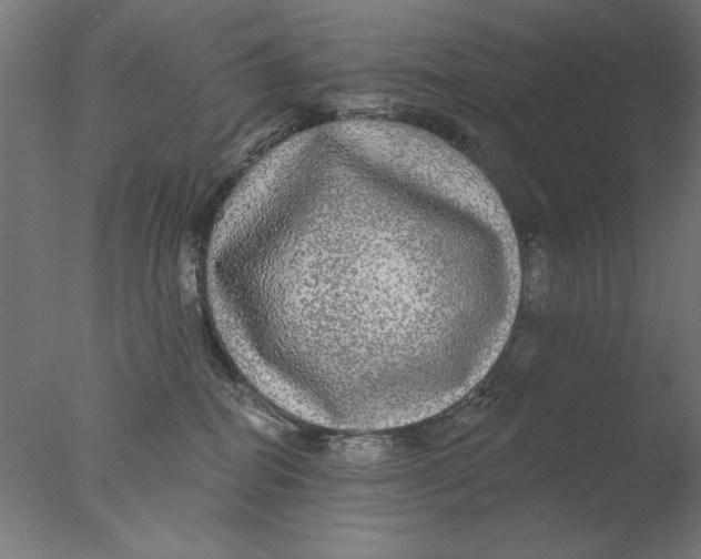 X0000076080282200610202048