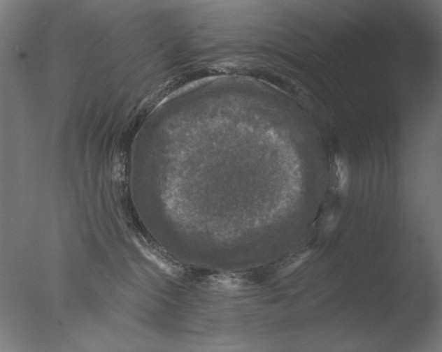 X0000076080284200610202048