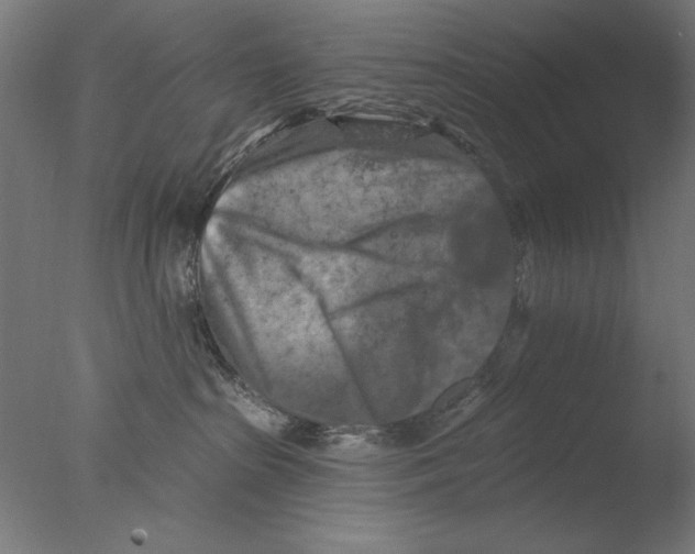 X0000076080285200610202048