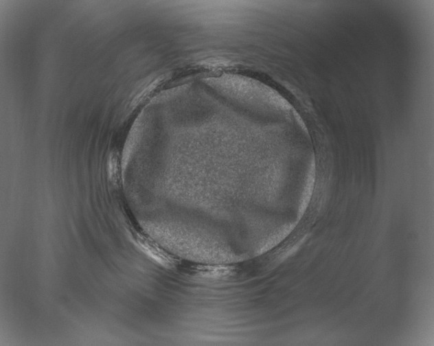 X0000076080288200610202048