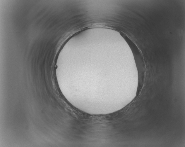 X0000076080289200610202047