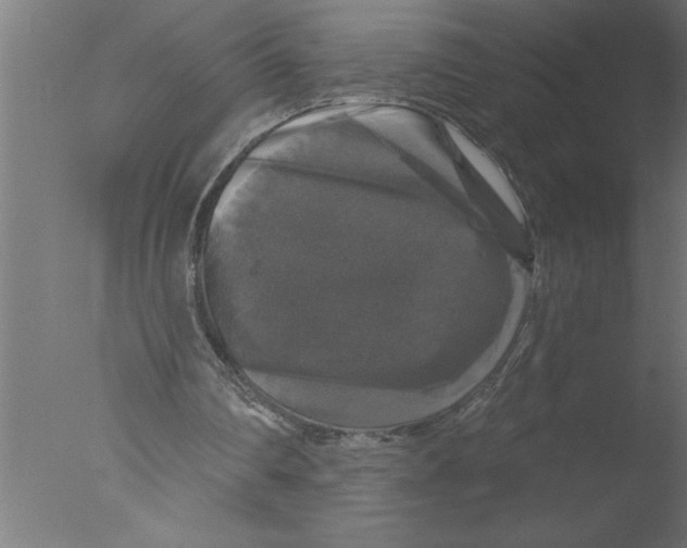 X0000076080290200610202047