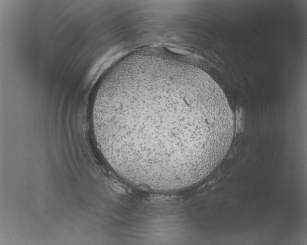 X0000076080291200610202047