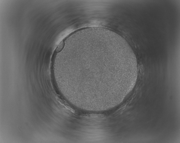 X0000076080292200610202047