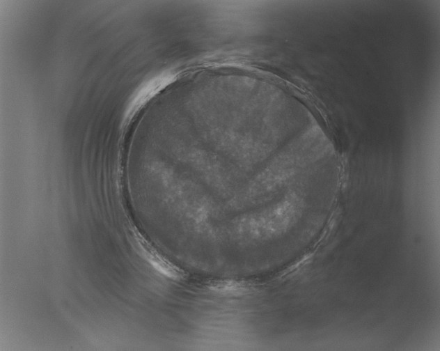 X0000076080293200610202047