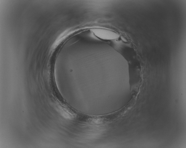 X0000076080295200610202047