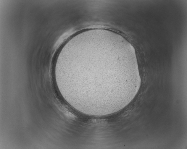 X0000076080296200610202047