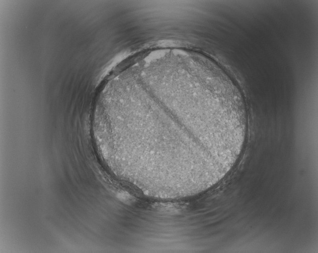 X0000076080297200610202047