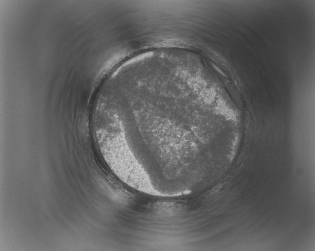 X0000076080298200610202047