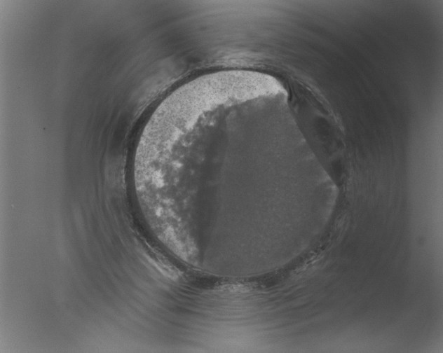 X0000076080299200610202047