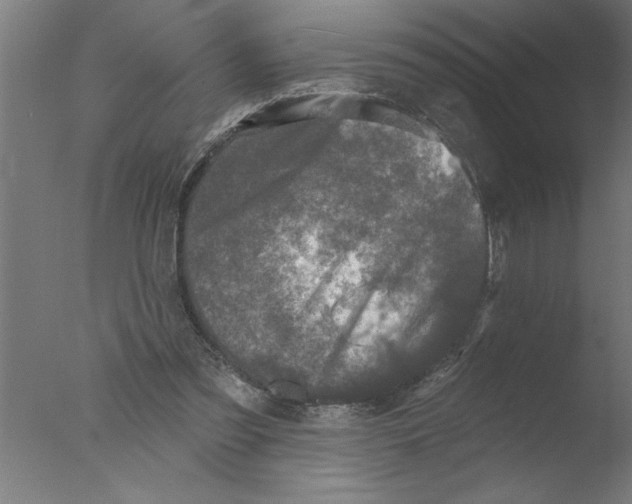 X0000076080301200610202047