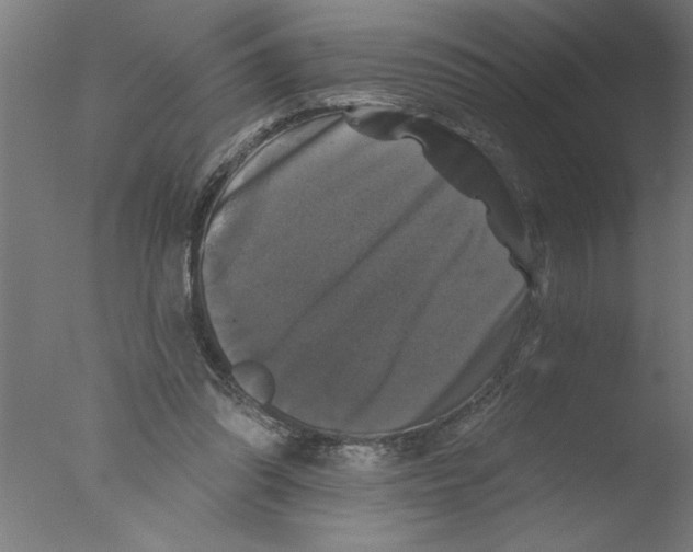 X0000076080302200610202047