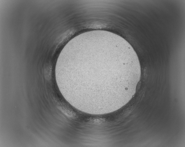 X0000076080304200610202047