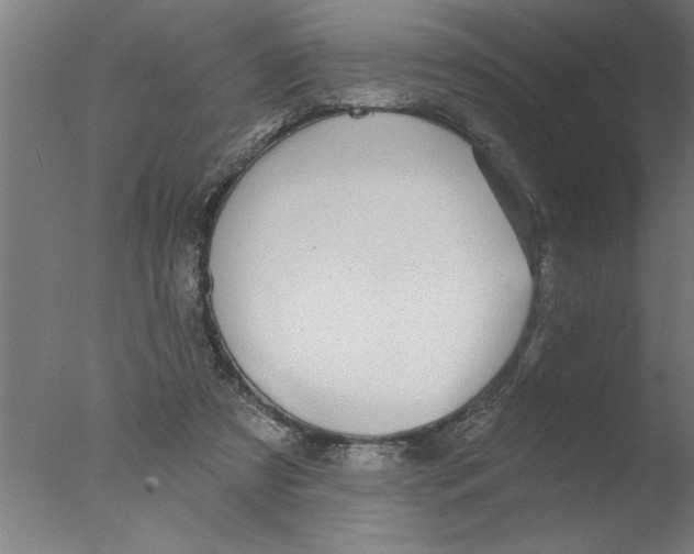 X0000076080305200610202047