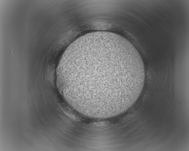 X0000076080307200610202047