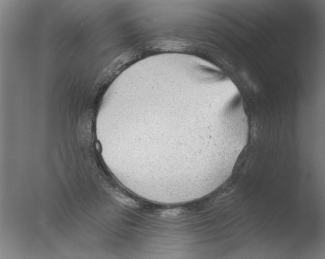 X0000076080309200610202047