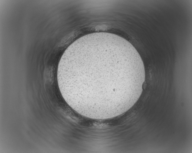 X0000076080311200610202047